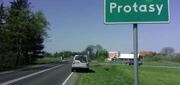 Odkryj swój kawałek raju w protasach