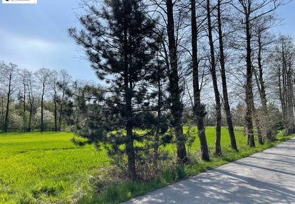 Duża, dobrze nasłoneczniona w pięknym otoczeniu!