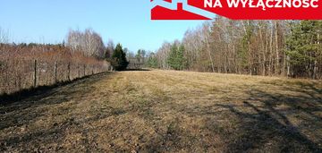 Działka budowlano-rolna 90 ar, krzywe.