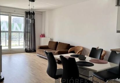 Kawalerka na pradze-południe