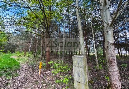 Zadrzewiona działka budowlana przy lesie w zalesiu