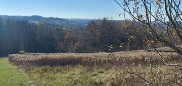 Działka rolna południowy stok, ciężkowice 75 ar !