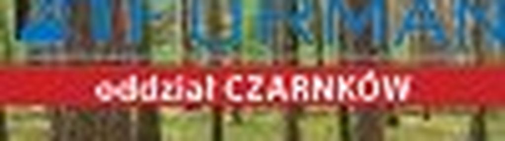 Działka leśna na sprzedaż w antoniewie, gm.lubasz