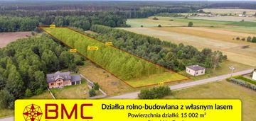 Koszęcin działka rolno -budowlana z własnym lasem