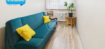 Dwupokojowe mieszkanie na wynajem