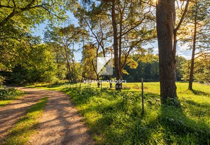 Przestrzeń między lasem, jeziorem a morzem
