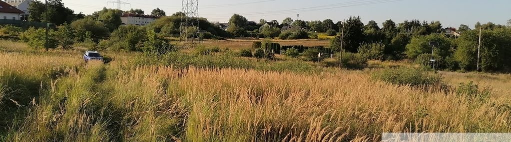 Mierzyn, działka 3008 m2, media w drodze