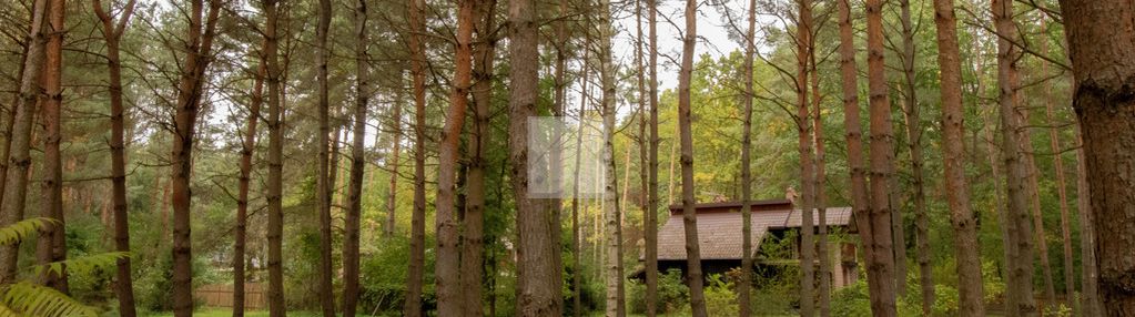 Kompleks działek z wz