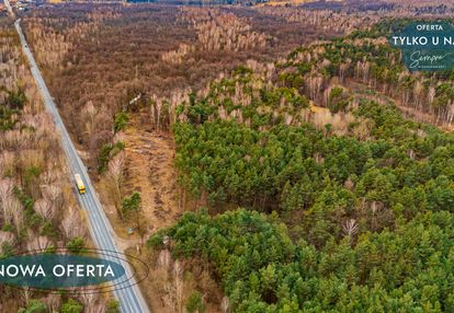Załuże, gm. szczerców – zalesiona działka