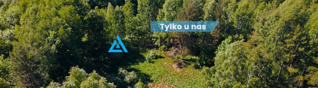 Działka w otulinie lasów!