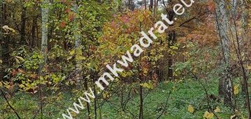 Budowlana z pięknymi drzewami | media | mpzp | lux