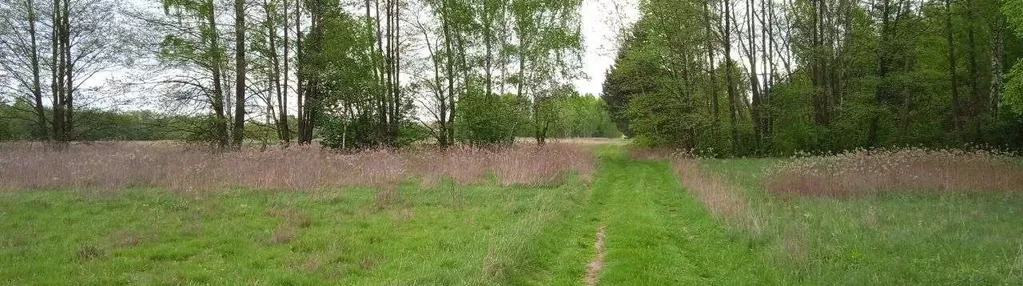 Działka budowlana KRUBICZEW koło - Leoncin