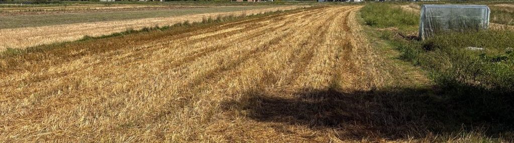 Podegrodzie działka 2700 m2 usługowa inwestycyjna