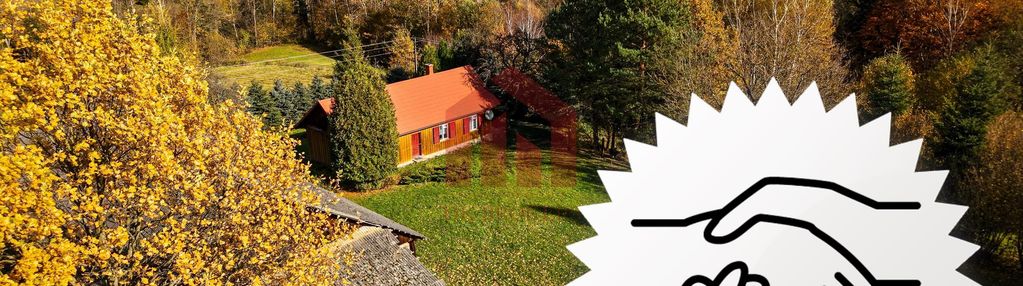 Raj na wsi 6,57ha dom z lasem pod dębicą