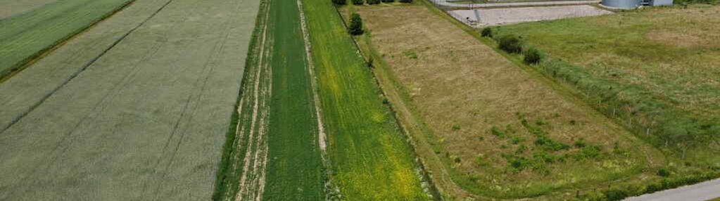 Działka inwestycyjna 2,9 ha ujrzanów
