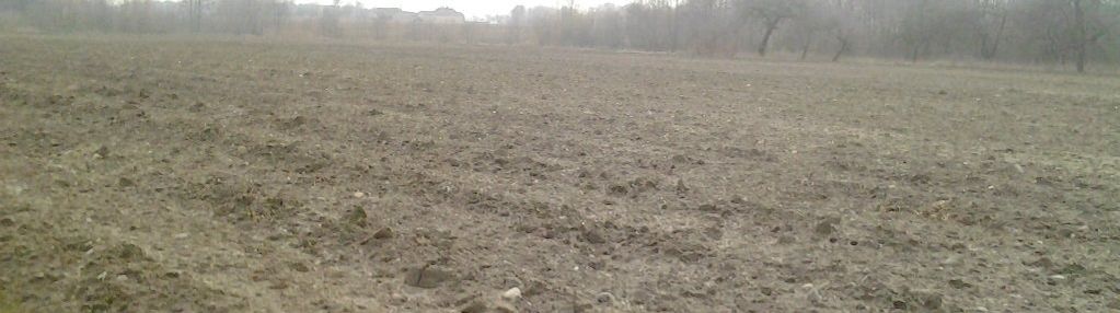 3,38 ha w okolicy zalesia gm. chodecz