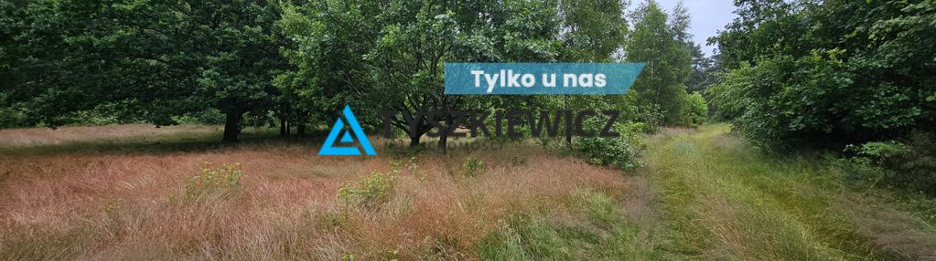 Działka leśna