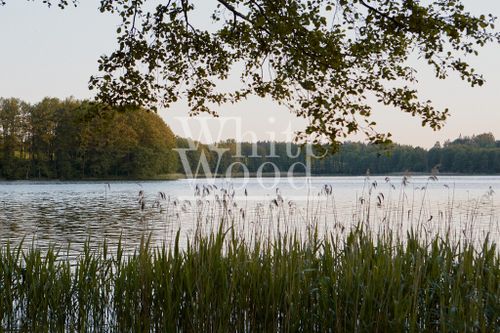 Działka 7000 m/2 z wydanym pozwoleniem na budowę
