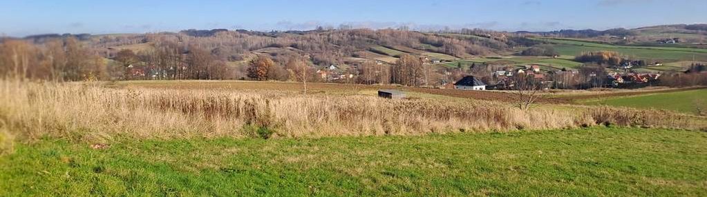 Widokowa działka w chmielniku - 18 arów