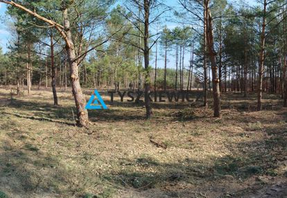 Działka budowlana w sercu lasu z mpzp