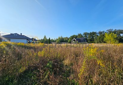 Działka - zbrudzewo - blisko las i  mpzp !!  i