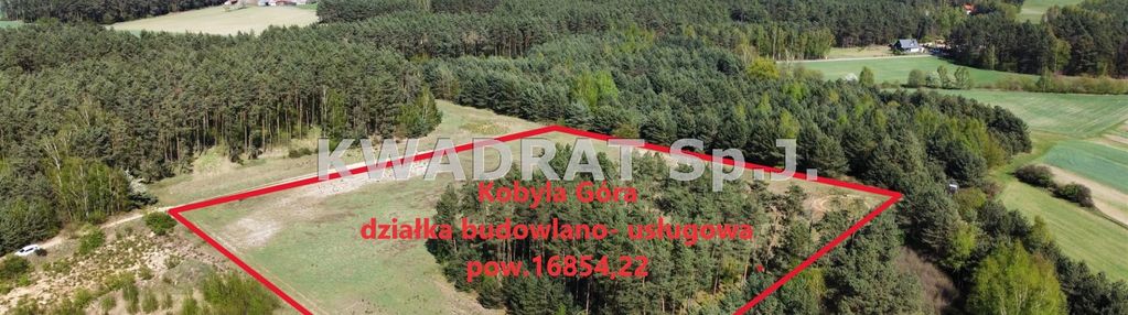 Piękna, duża działka z lasem – kobyla góra!!!
