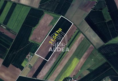 11,64 ha | działka rolna | szropy | szer. 190m |