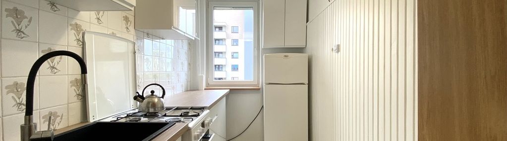 Loggia/piwnica/jasne/odświeżone