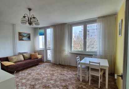 | lokalizacja| funkcjonalny rozkład | piwnica |