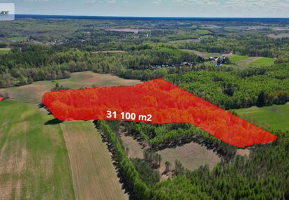 3 ha las, staw | wydane warunki zabudowy