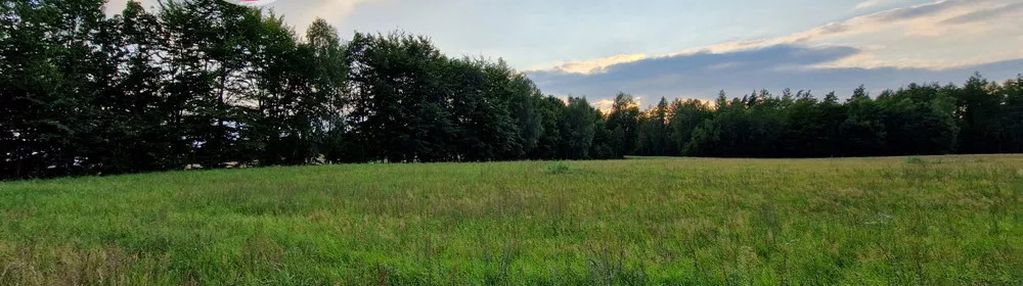 Pieski - działki budowlane