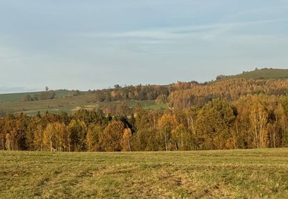 Działka rolna w siedlęcinie, zalesiona - zamiana?