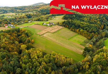Działka  lichwinie. rolno-leśna, ‼️nowa cena ‼️