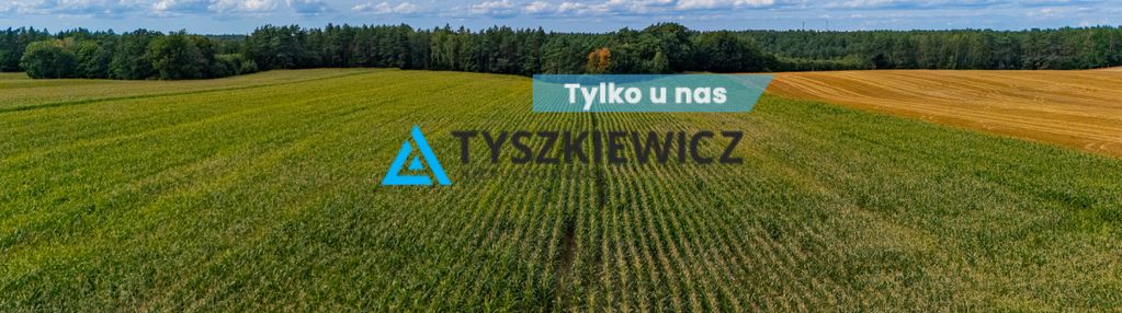 Działka rolna- 2.0311 ha- lisewo, gmina przechlewo