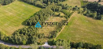 Działka w okolicy jeziora liniewskiego