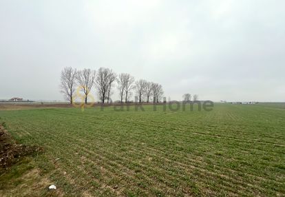Działka budowlana na sprzedaż w święciechowie.