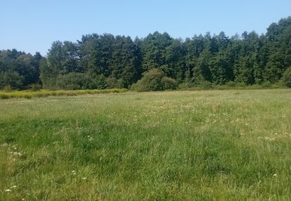 Działka rolna 3 km od aleksandrowa łódzkiego