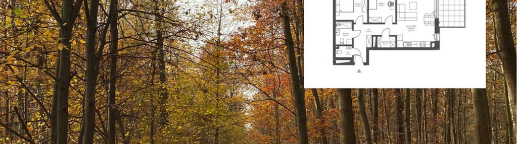 Trzy pokoje, 24 m2 taras, z widokiem na las