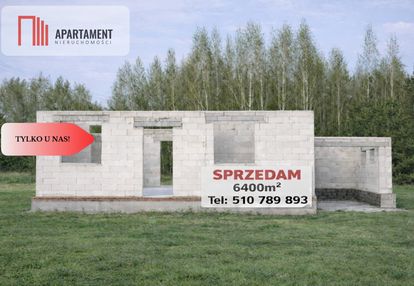 Dom w budowie na leśnej działce – bory tucholskie