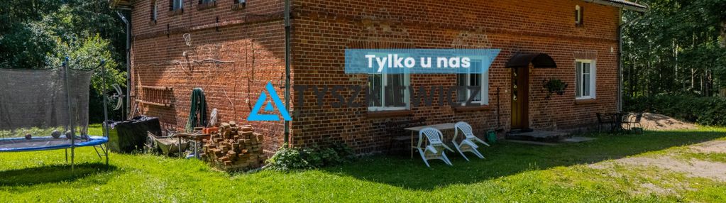 Siedlisko z potencjałem w wysinie