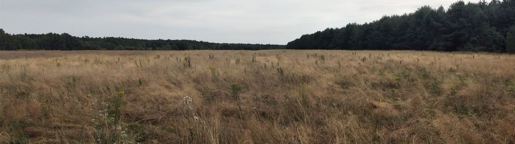 Działka rolna 4,0959 ha musiejówka gmina rossosz