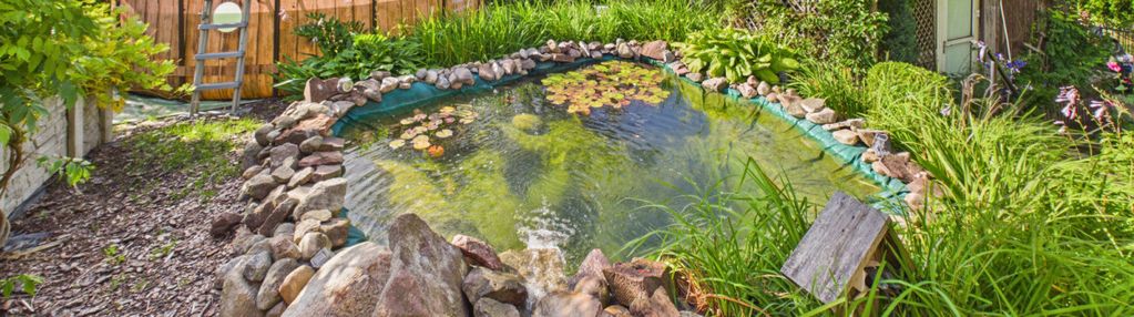 2 działki rod, 2 domki, staw, basen i piękny ogród