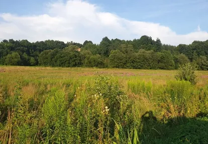 Działka na sprzedaż 2700m2