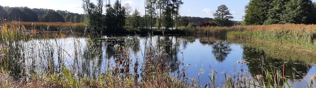 Urokliwe siedlisko - działki od 3000m2 do 25,6 ha