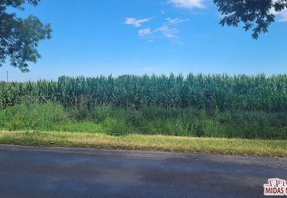 Działka 3,8 ha w krojczynie z warunkami zabudowy!