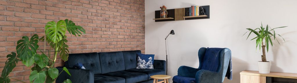 Bliźniak z garażem w bolszewie - wysoki standard