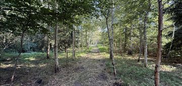 Działka 2 500 m² z domem i lasem – myszków