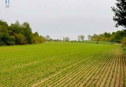 Działka rolno-budowlana w tuszynie