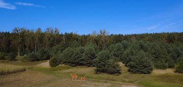 Działki budowlane |jelcz laskowice |wykonane media