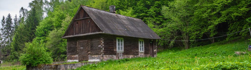 Wyjątkowe siedlisko na skraju lasu 28,5ar